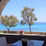 Asian Euro Restaurant